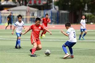 骄傲的鸟,排列,过滤分析英,天津体彩,天津体彩网,天津体彩网官网,体育彩票,体彩大乐透,竞彩足球,体彩公益