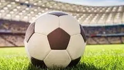 [勇闯三界，爱意豹起] 排三26021预测揭秘：组六布局，一码独中豹子运！