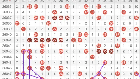 双色球26年020期专家质合分析推荐一红号码