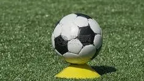 金莱大乐透023期：专家推荐质合分析，前区十码冲击头奖