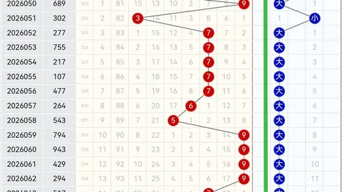 26062期排列5大乐透专家质合分析推荐前区十码