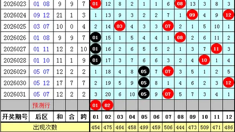 2026027期大乐透专家推荐：自选号码及蓝球04 09 1