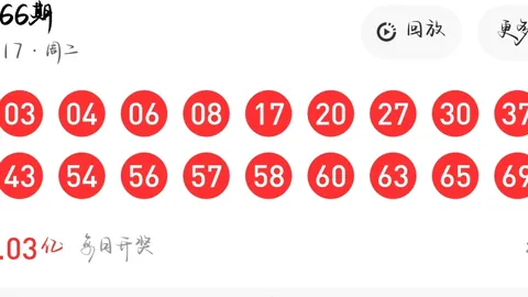 大乐透267期钱多多凤尾专家质合分析推荐