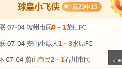阿根廷强势对决瑞士：5胜4的巅峰对决攻略